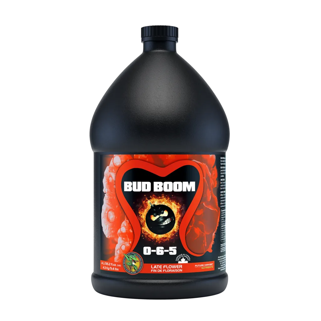Bud Boom Plus