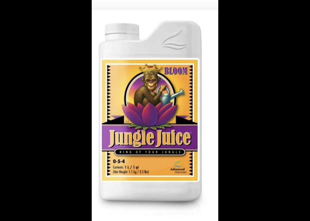 Jungle Juice Bloom