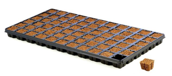 Eazy Plug Ct66 Tray Case Of 10