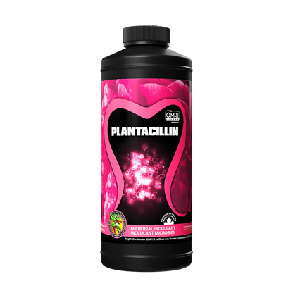 Plantacillin