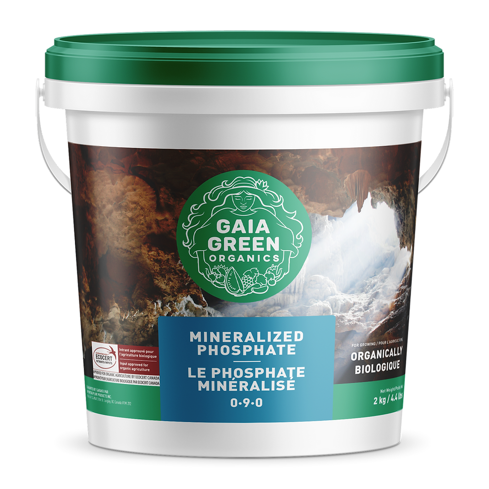 10Kg – Gg Mineralized Phosphate (Bat Guano) Gai-186
