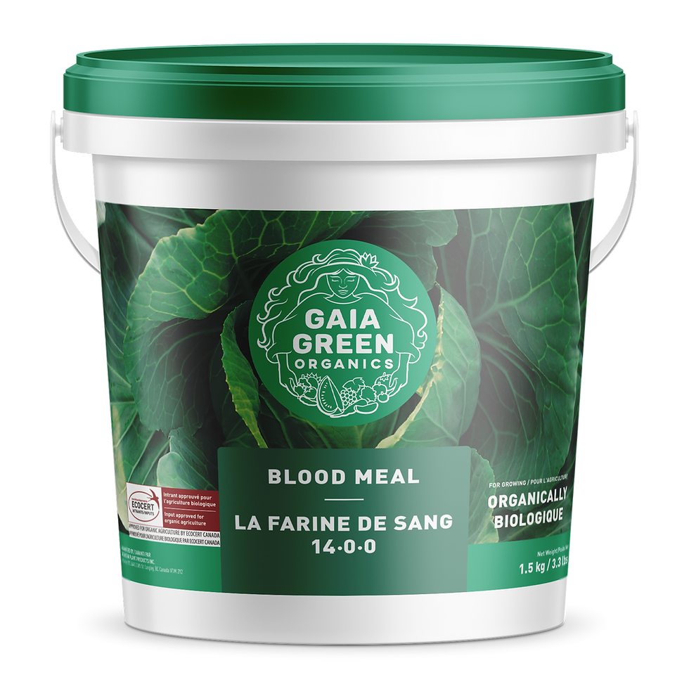Blood Meal