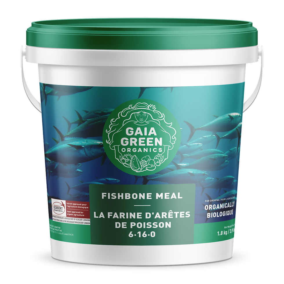 Fishbone Meal