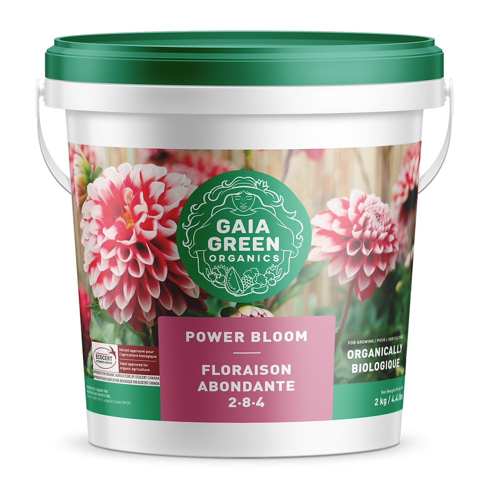 Power Bloom