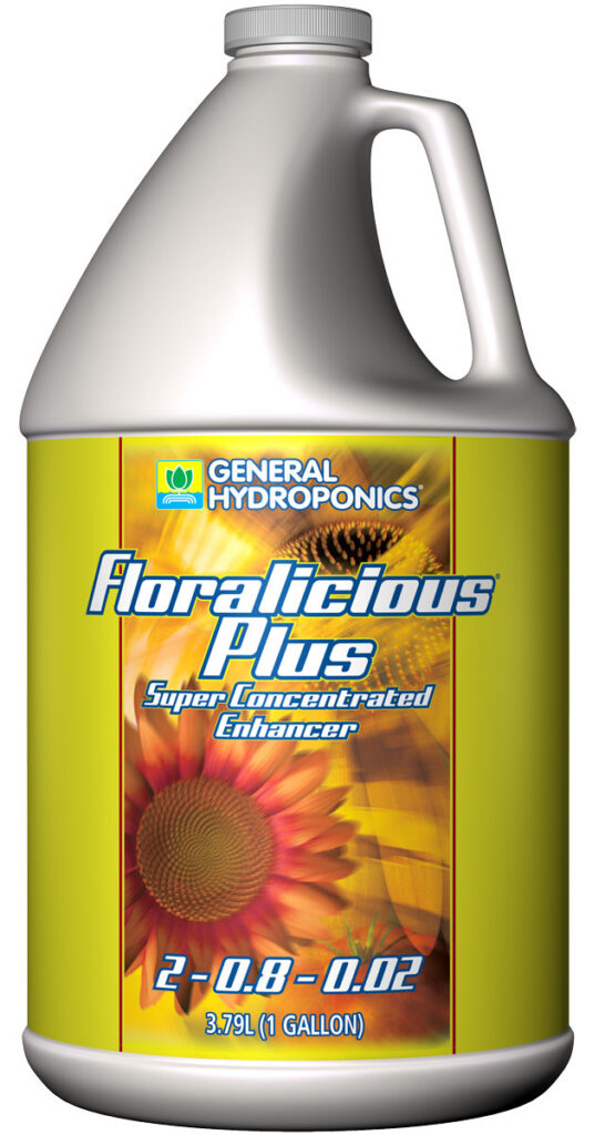 Floralicious Plus