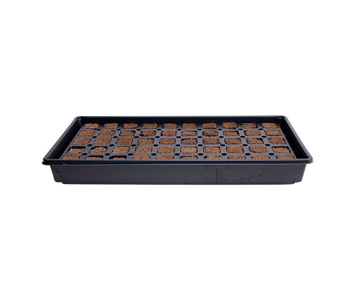 Grow Easy Ct50 Tray W/ Plugs