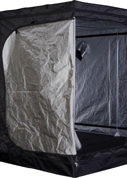 9.8′ X 4.9′ X 6.6′ Mammoth Pro