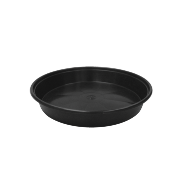 14′ Mondi No Lip Saucer