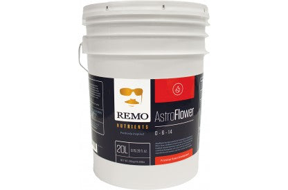 Remo’S Astroflower